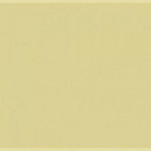 Paint and Paper Library Willow III Paint